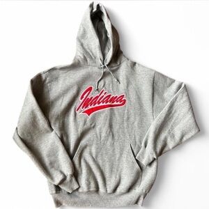 Gray Indiana Hoodie Women’s Medium